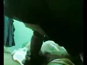 美しい猫と猫のストローク 女性 専用 ア ...